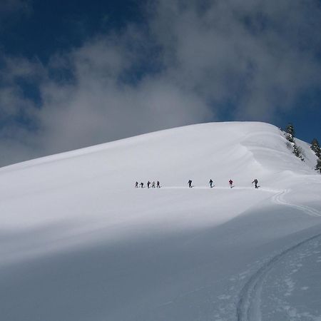 Feriennest Leitner Daire Maria Alm am Steinernen Meer Dış mekan fotoğraf
