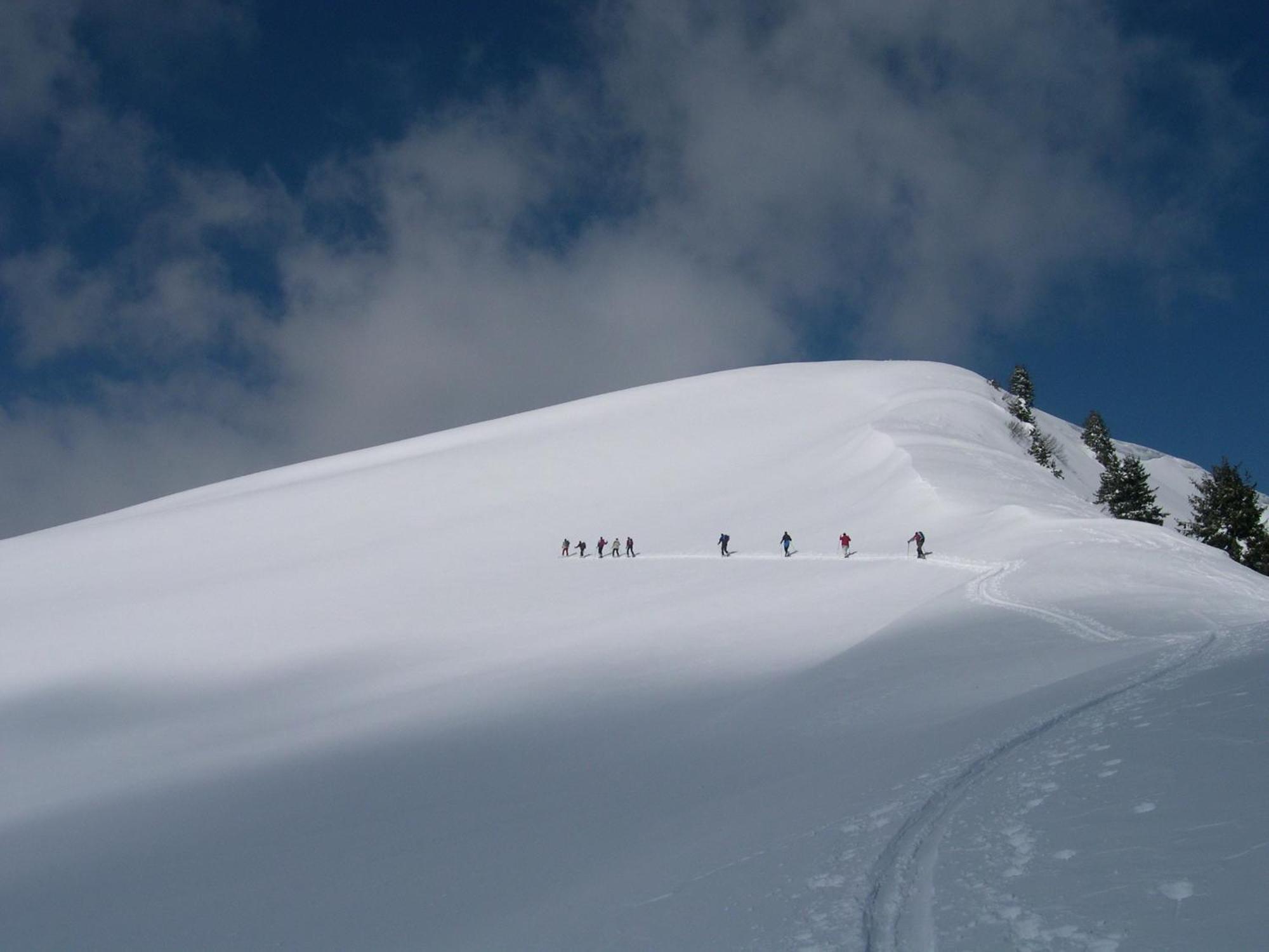 Feriennest Leitner Daire Maria Alm am Steinernen Meer Dış mekan fotoğraf