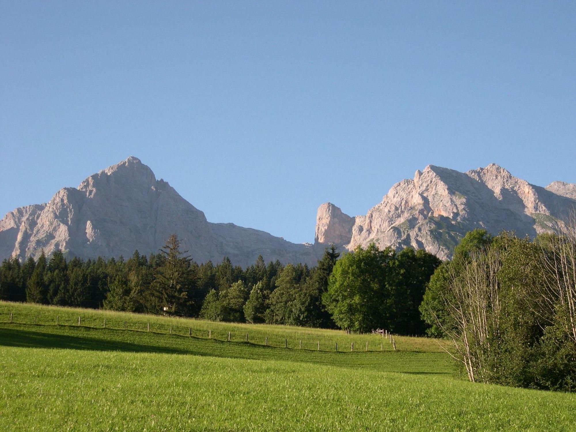 Feriennest Leitner Daire Maria Alm am Steinernen Meer Dış mekan fotoğraf
