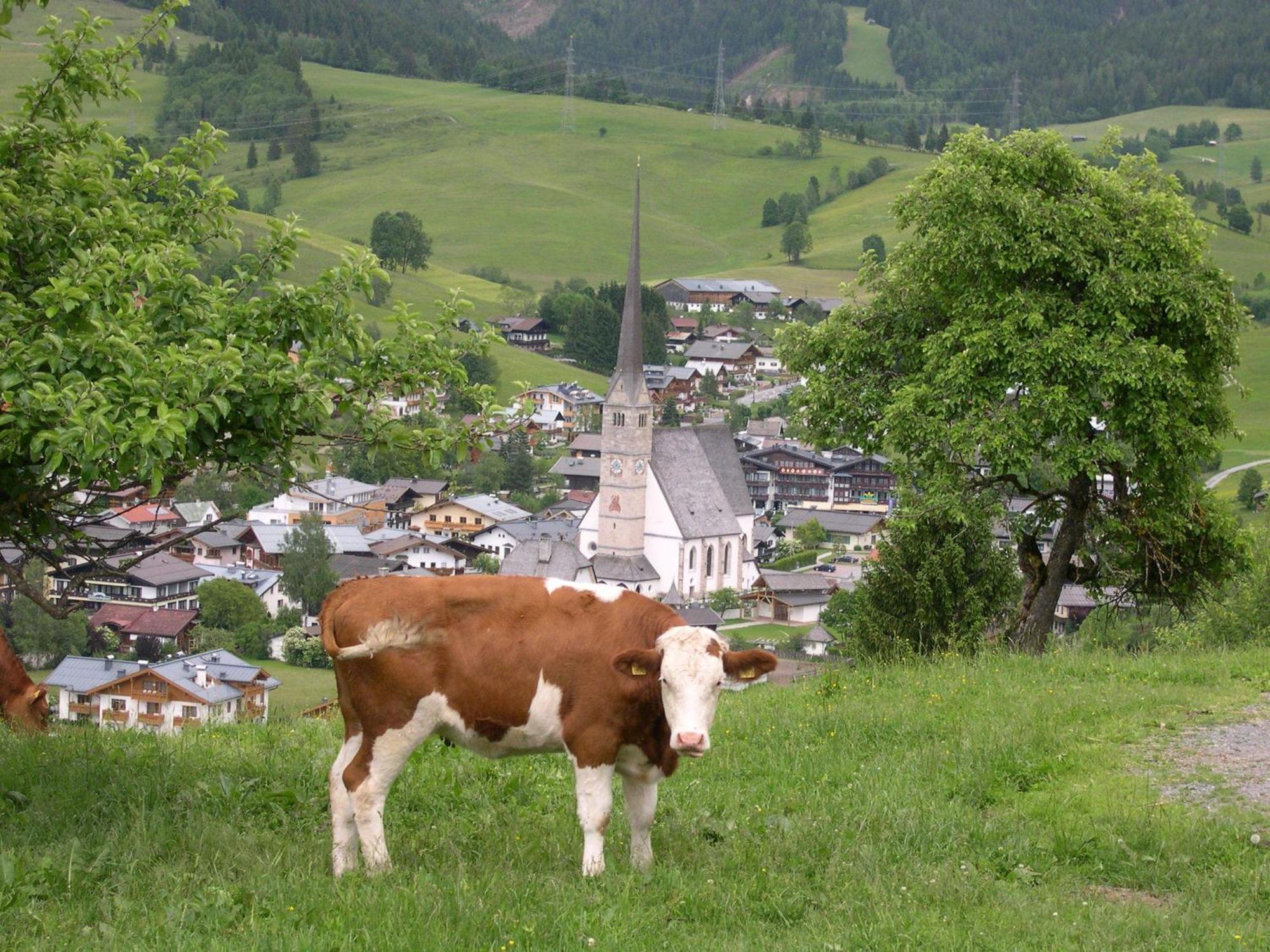Feriennest Leitner Daire Maria Alm am Steinernen Meer Dış mekan fotoğraf